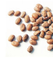 Pinto Beans Dry 1kg